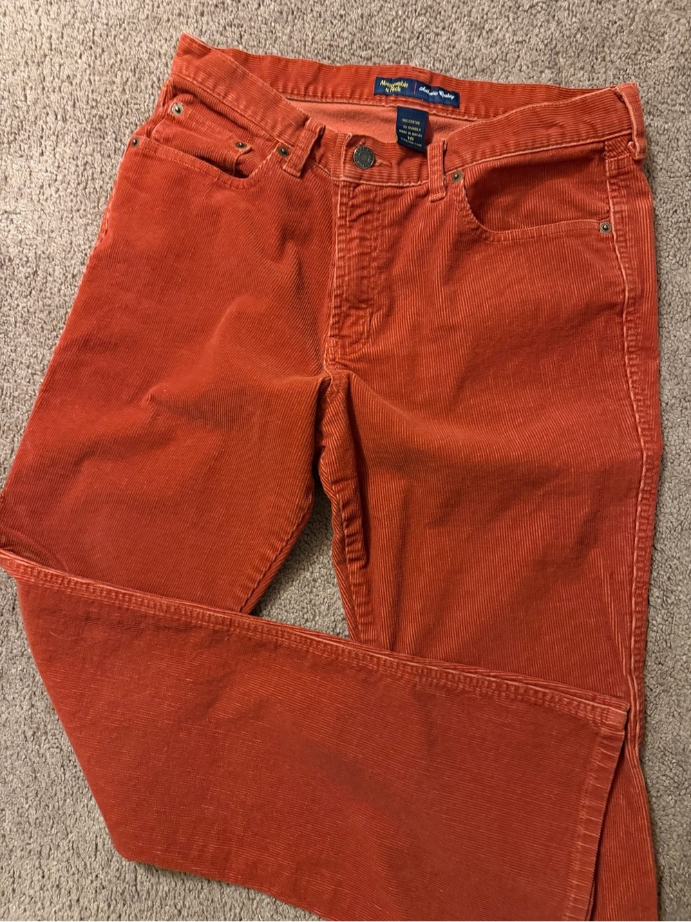Abercrombie & Fitch Men's Rust Orange Corduroy Pants